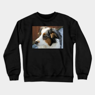 Willow Crewneck Sweatshirt